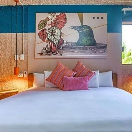 Selina Cancun Laguna Zona Hotelera מראה חיצוני תמונה
